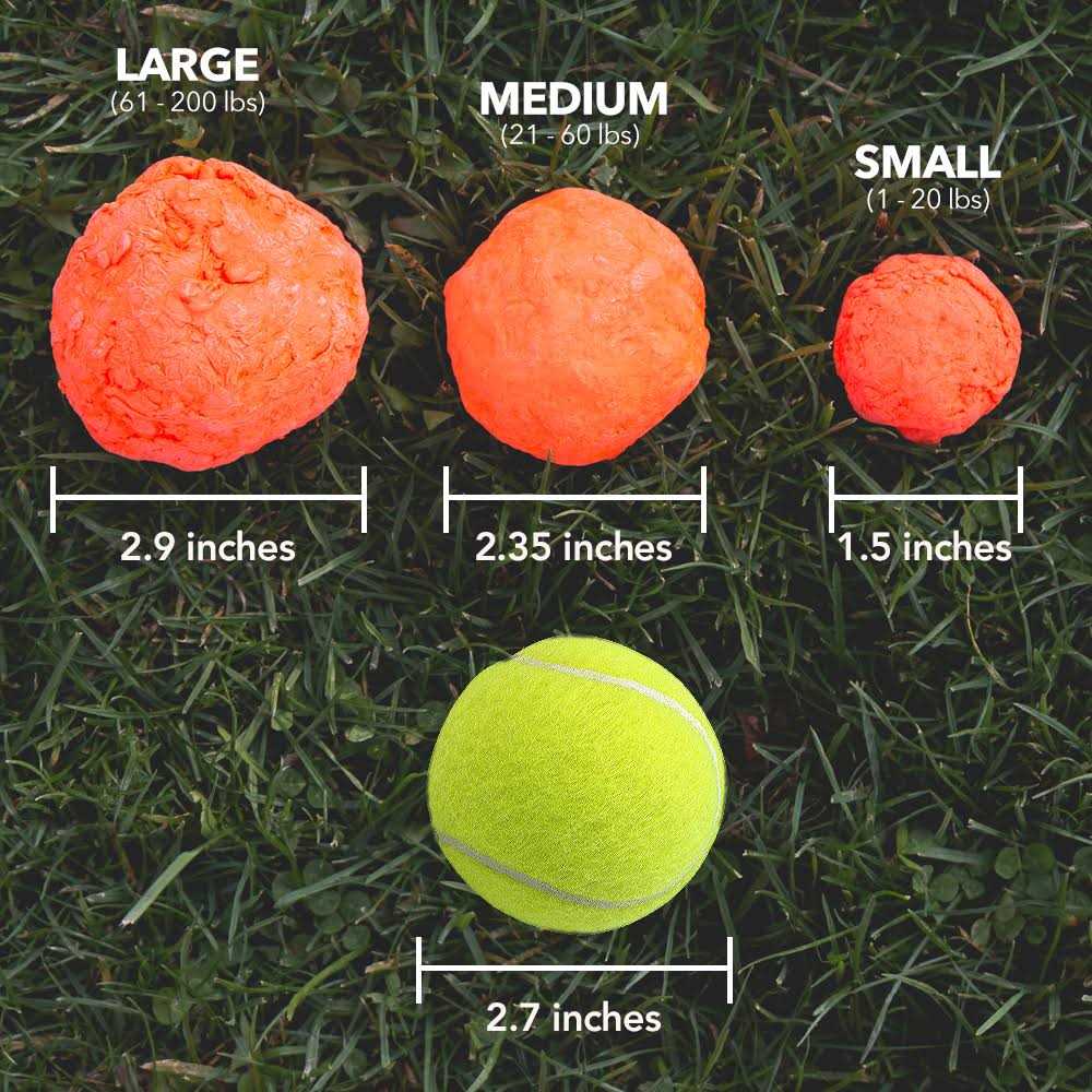 Fetch Dog Toy J250
