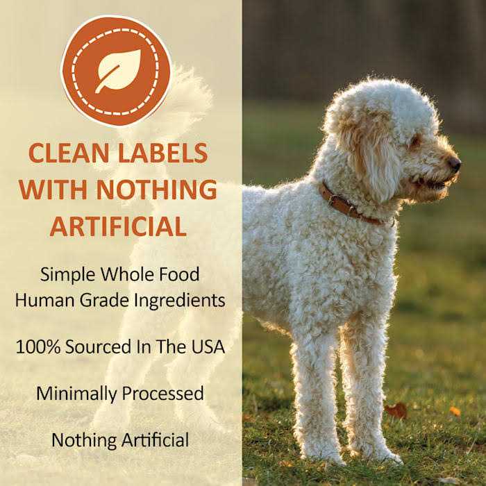 Freeze Dried Yogurt Powder S390