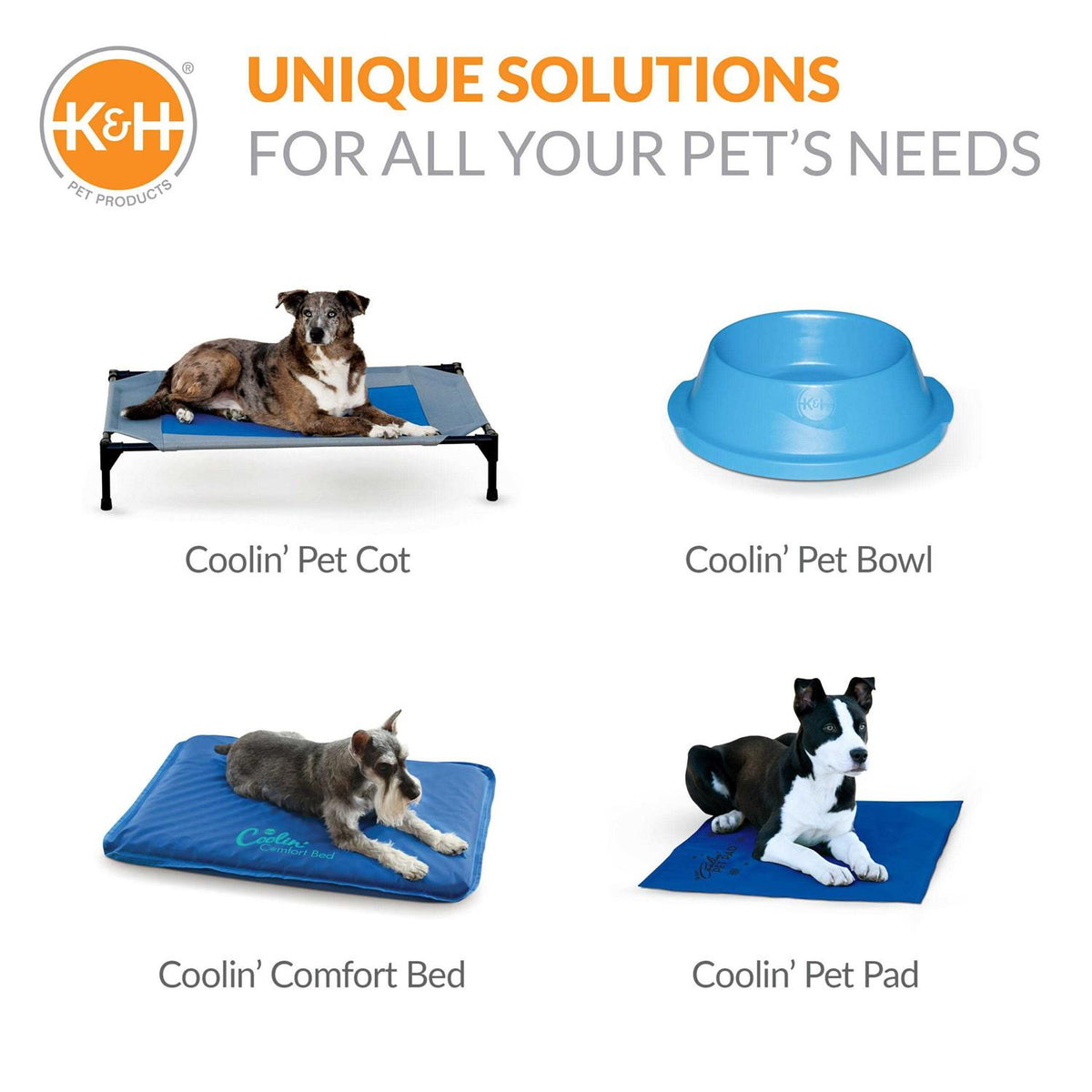 Pet Pool C5603