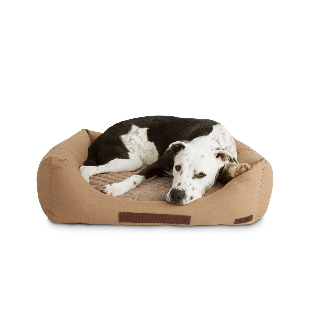 Dog Bed V187