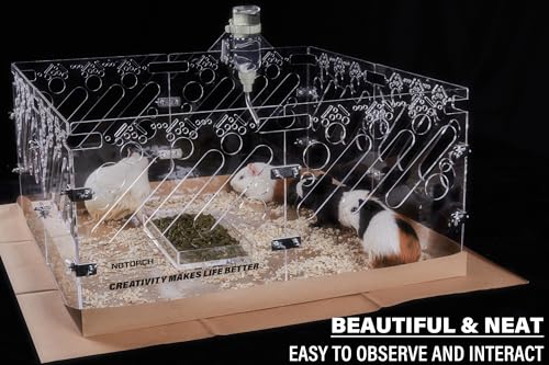 Acrylic Guinea Pig Cage 4x2ft Small Animal Cage D208598
