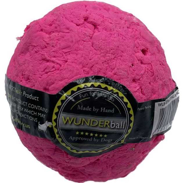 Fetch Dog Toy J250