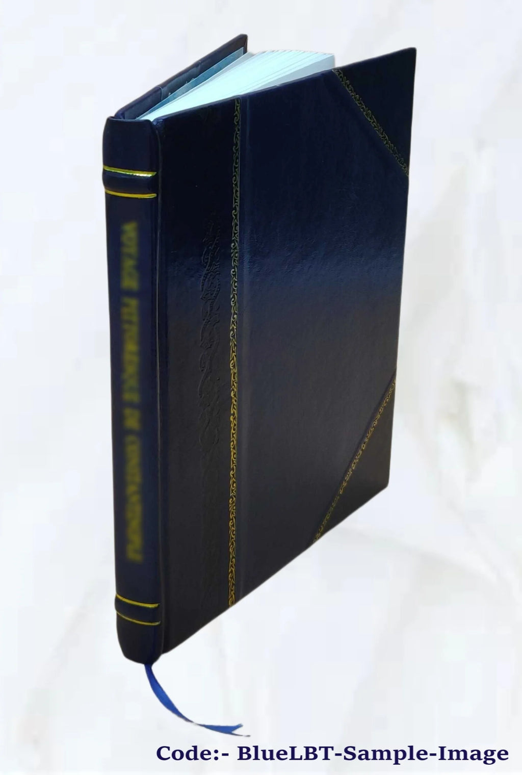 Norse discovery of America historical thesis 1901 Leather Bound L183681