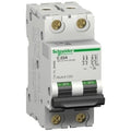 Miniature Thermal Magnetic Circuit Breaker, 35 A, 2-Pole D824