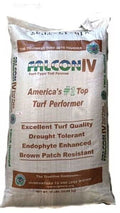 10 lbs. Turf Type Tall Fescue W5442