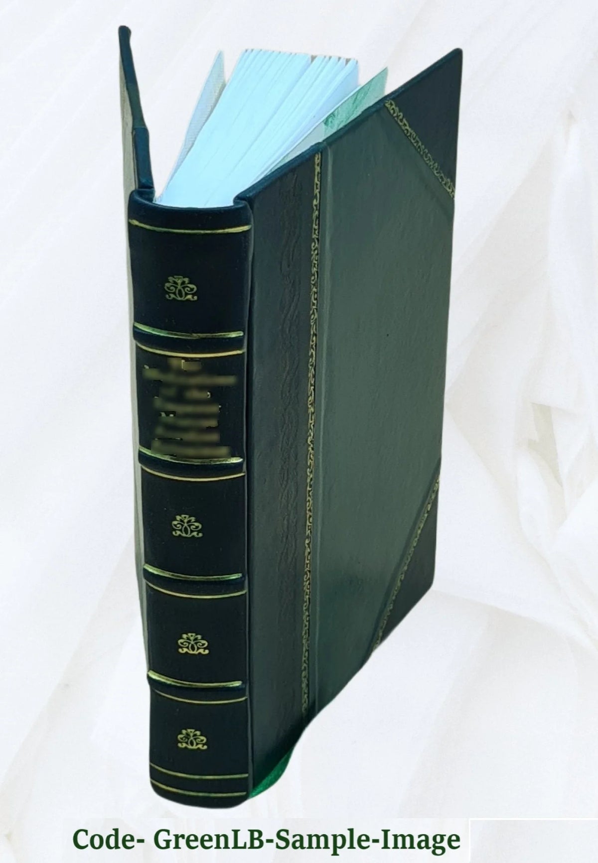 Leather Bound Book R958649