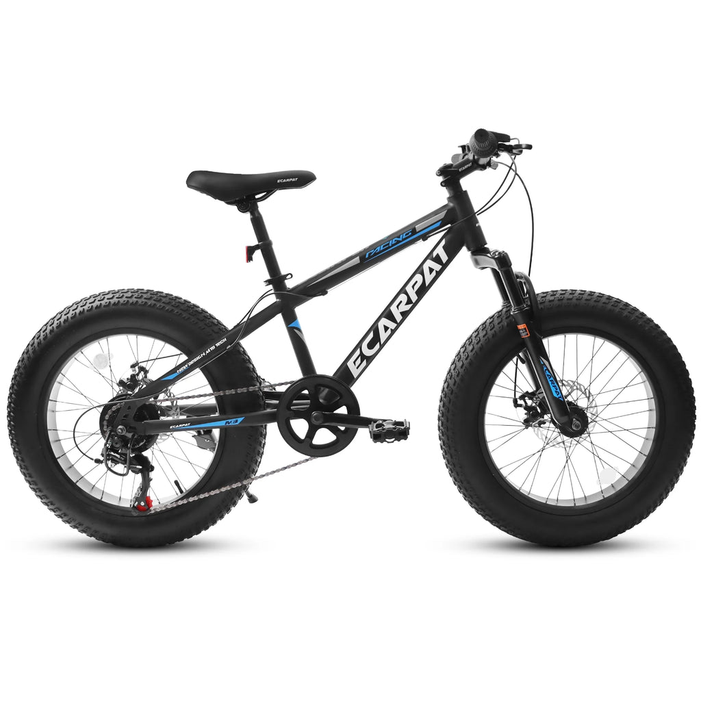20 inch Black Fat Tire Bike with Disc Brakes 7 Speed L96229