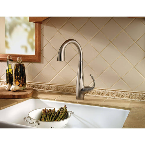 1-Handle Pull-Down Kitchen Faucet Tuscan Bronze N8532