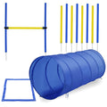 Dog Agility Training Course Kit E4312