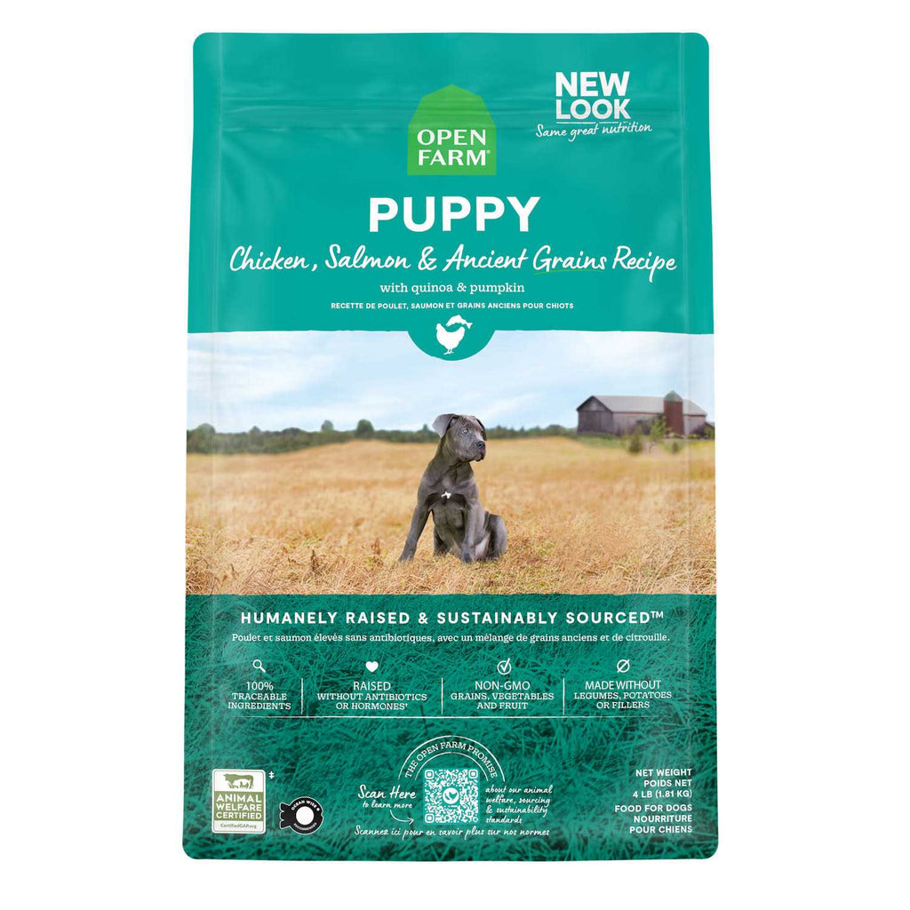 Pasture Raised Lamb Ancient Grains Dry Dog Food W9657