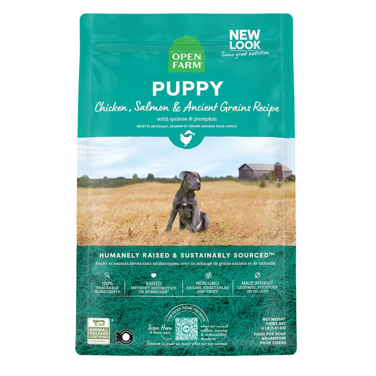 Pasture Raised Lamb Ancient Grains Dry Dog Food W9657
