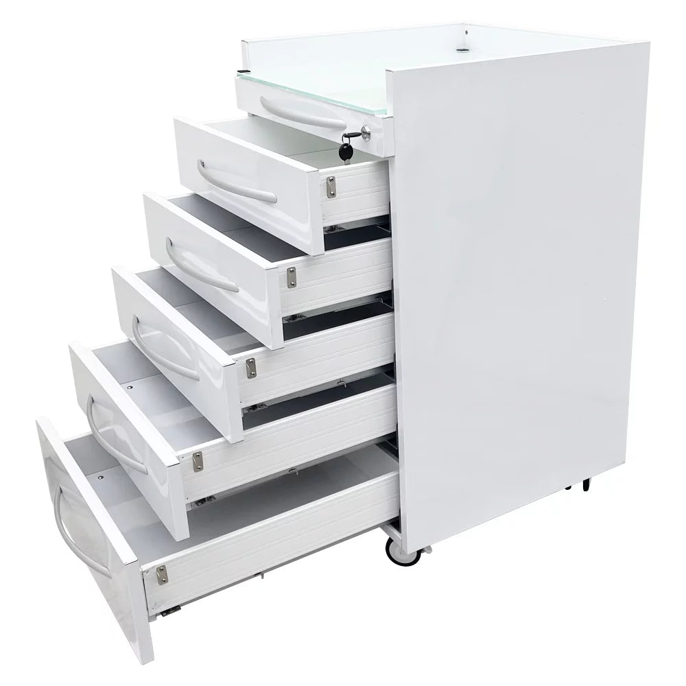 Stainless Steel Mobile 5 Drawers Cabinet B418