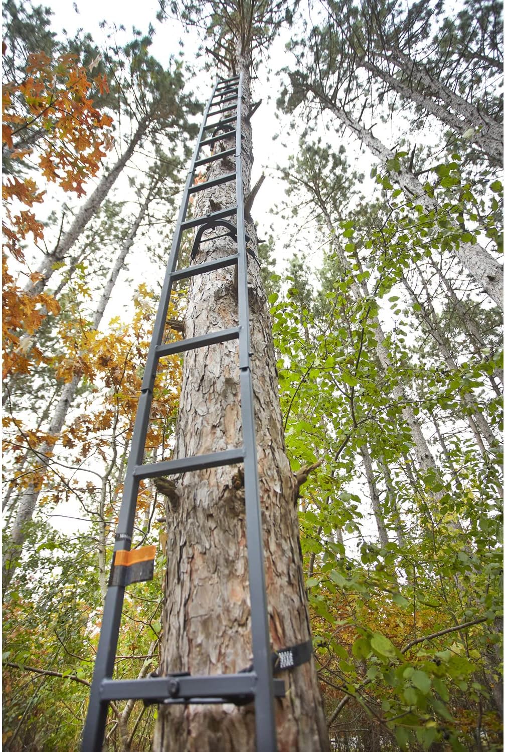 20’ Climbing Ladder H12988