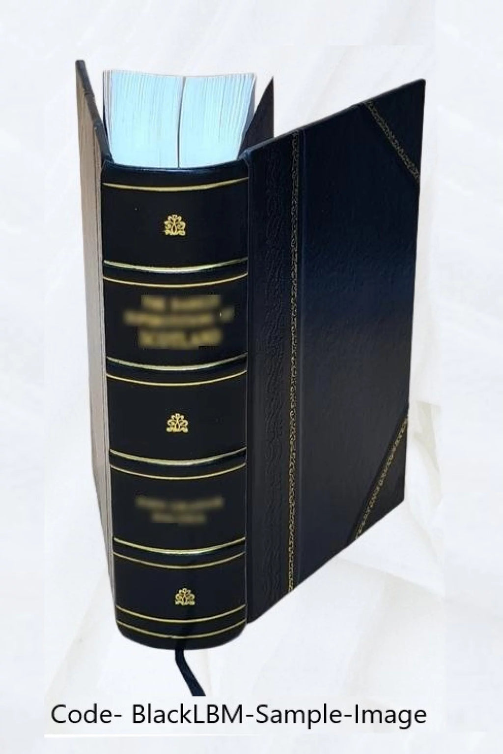Leather Bound Book W697