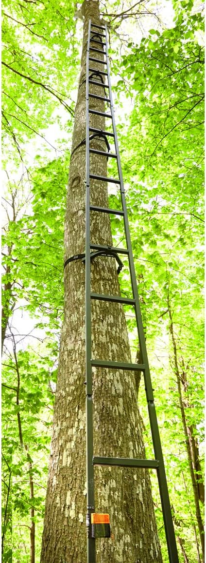 20’ Climbing Ladder H12988