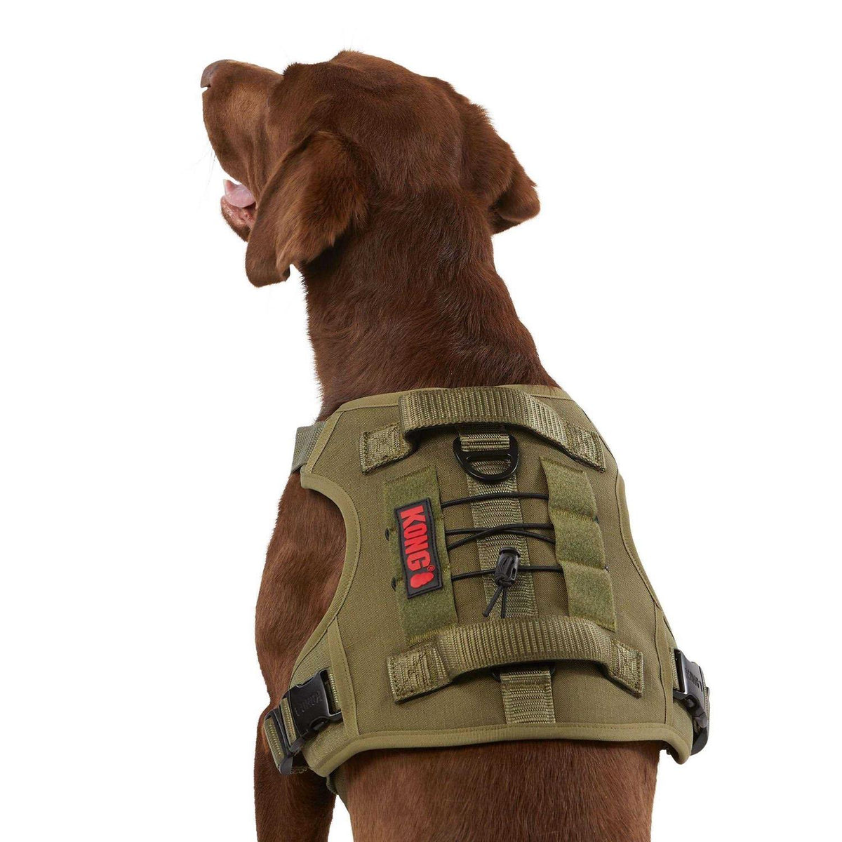 Double Handle Dog Harness R943