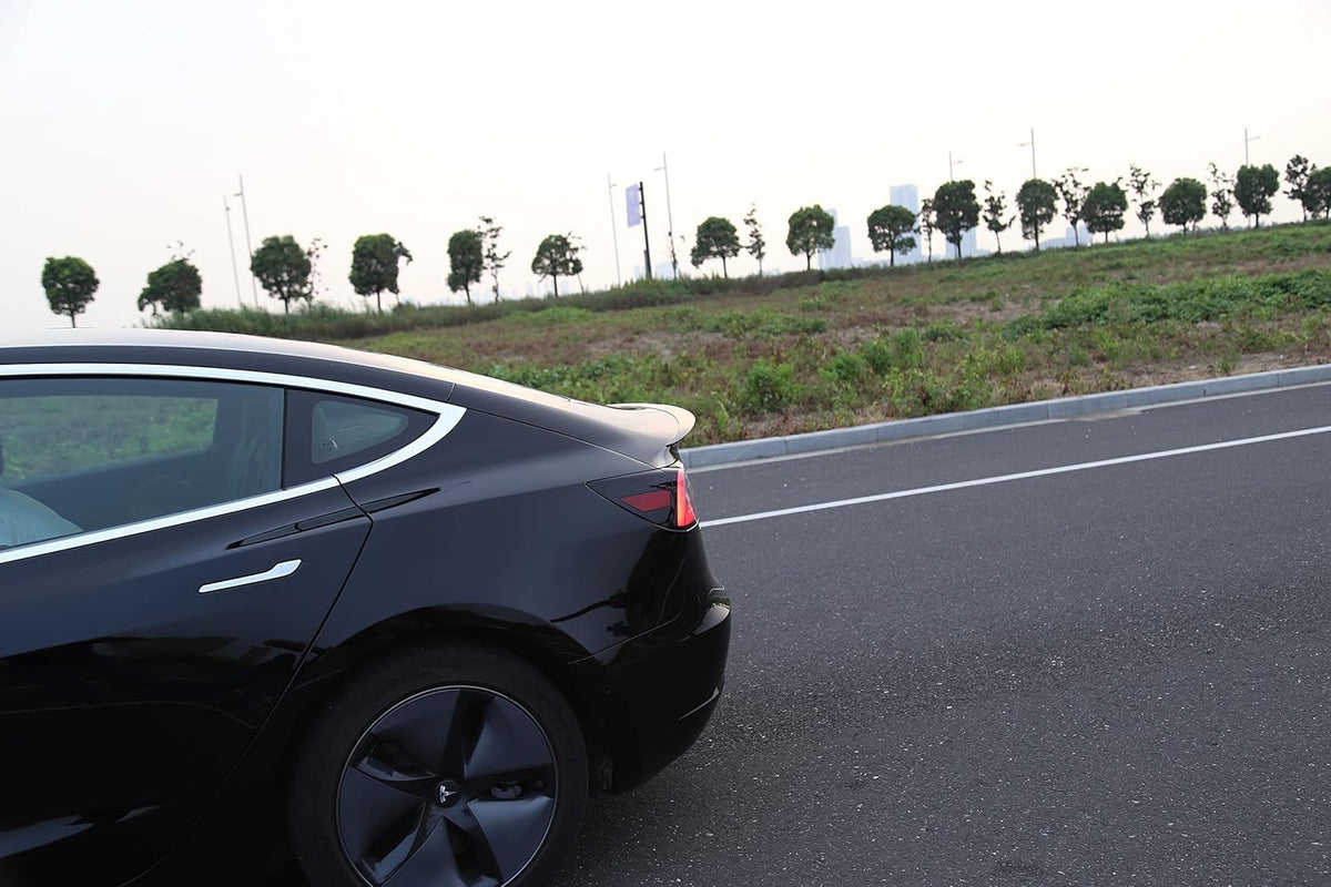 Carbon Fiber Pattern Spoiler for Tesla Model 3, Pack of 2 E410
