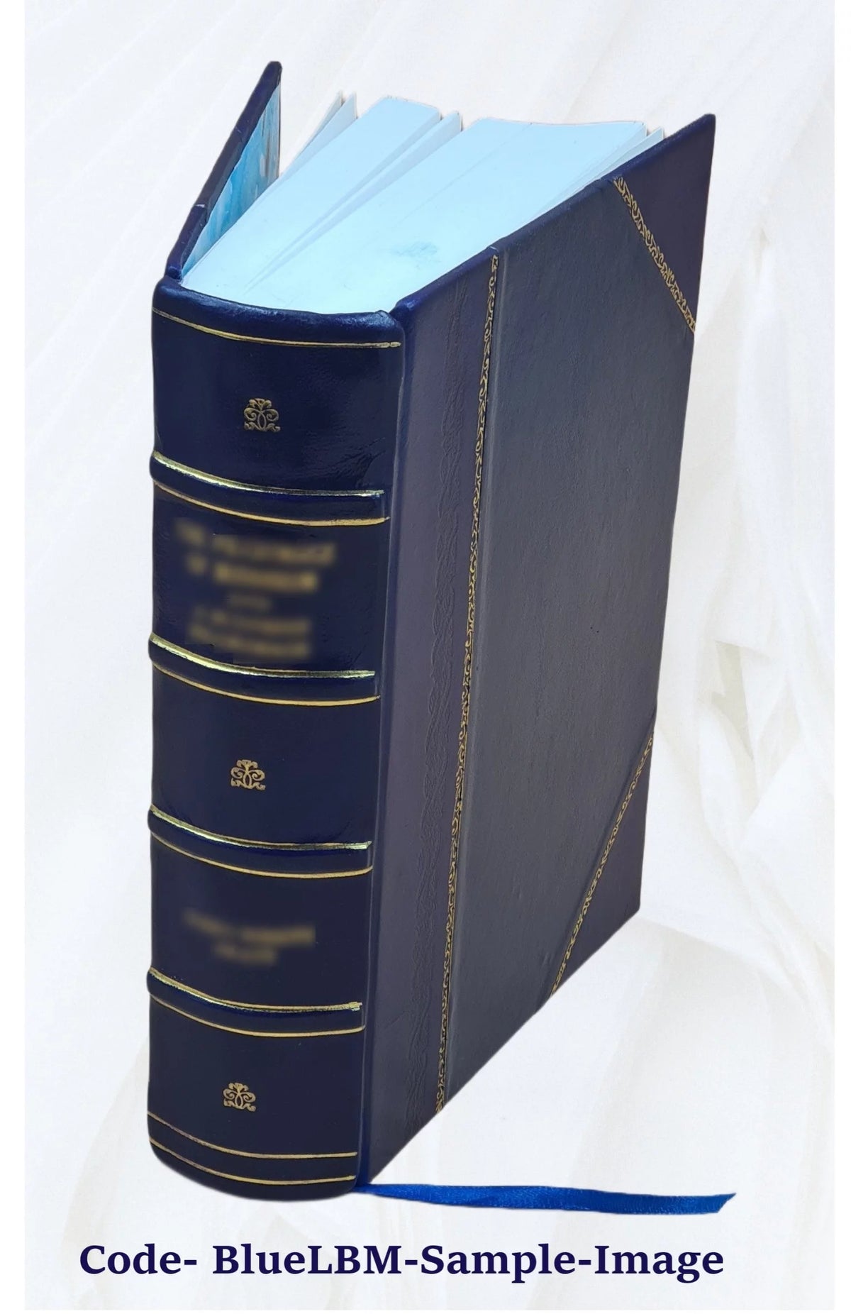 Leather Bound Book W697