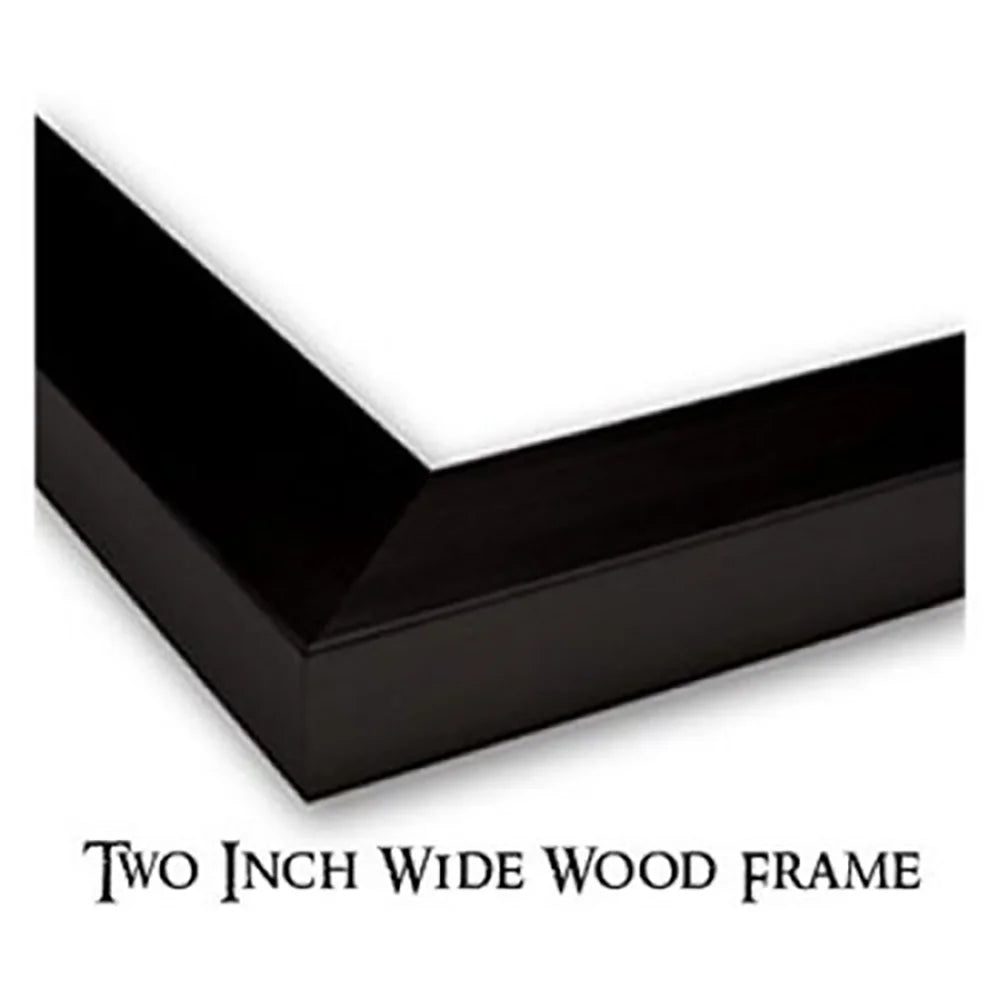 Black Modern Framed Museum Art Print R6479