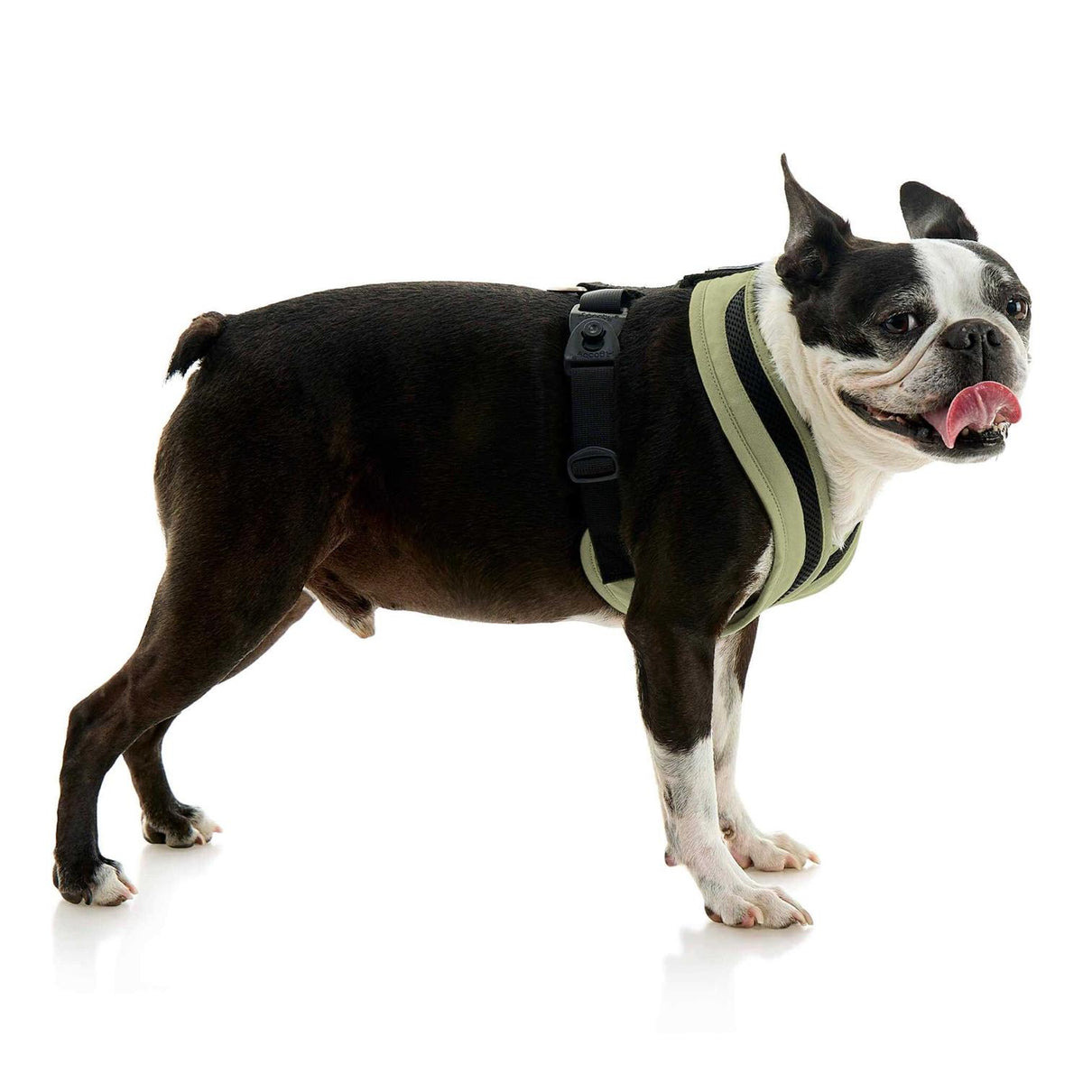 Dog Harness C328