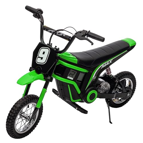 350W 24V Electric Dirt Bike for Kids 8-12 M61359