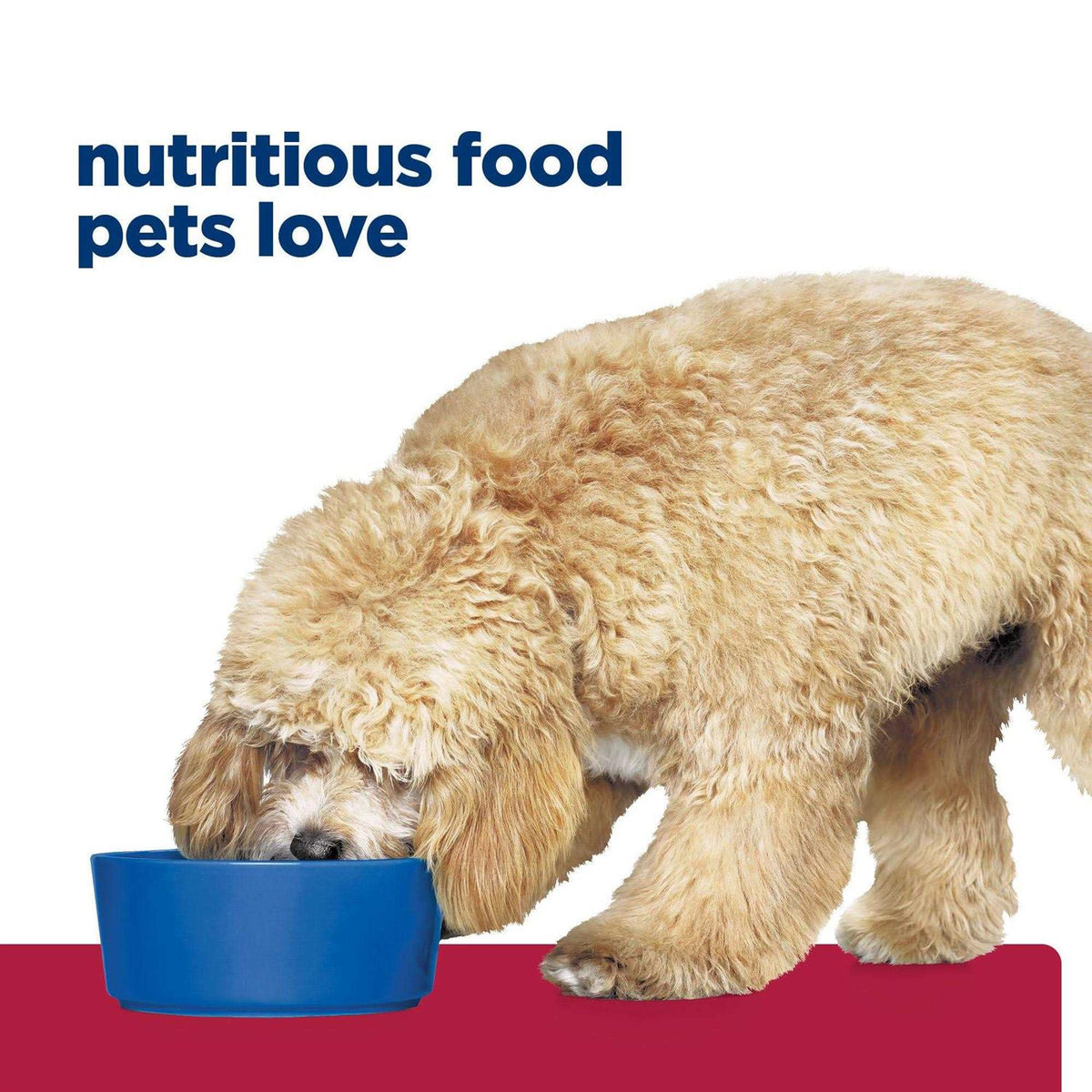 Chicken Flavor Dry Dog Food F73147
