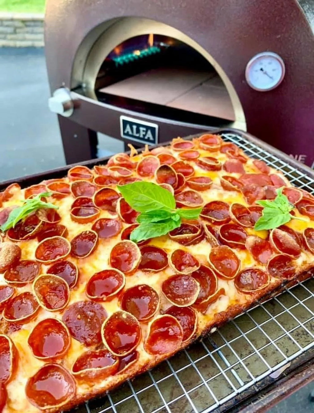 Nano Gas or Wood Fire Hybrid Pizza Oven K735909