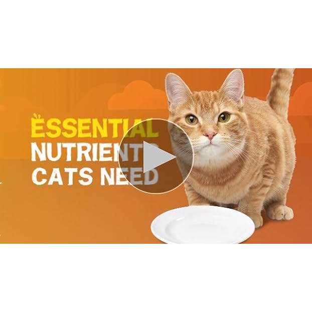 Wet Cat Food Gravy T7761