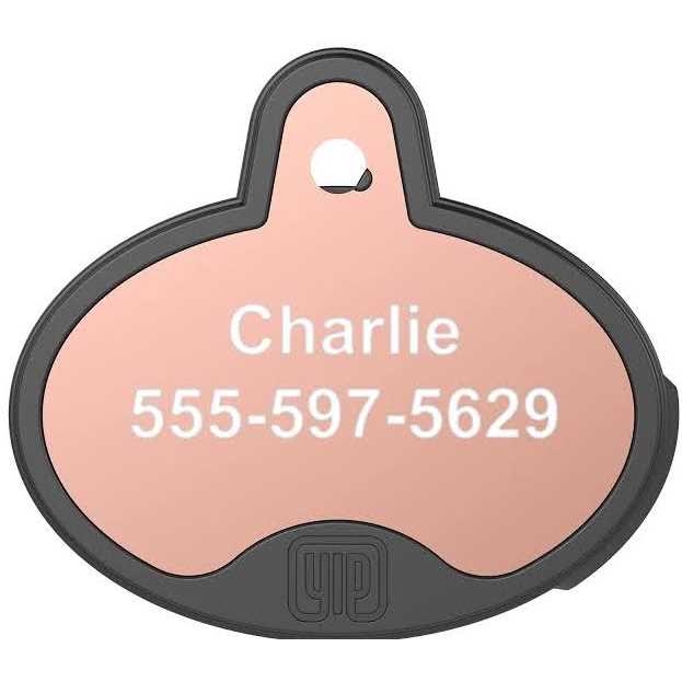 Smart Tag ID Pet Supplies A476828