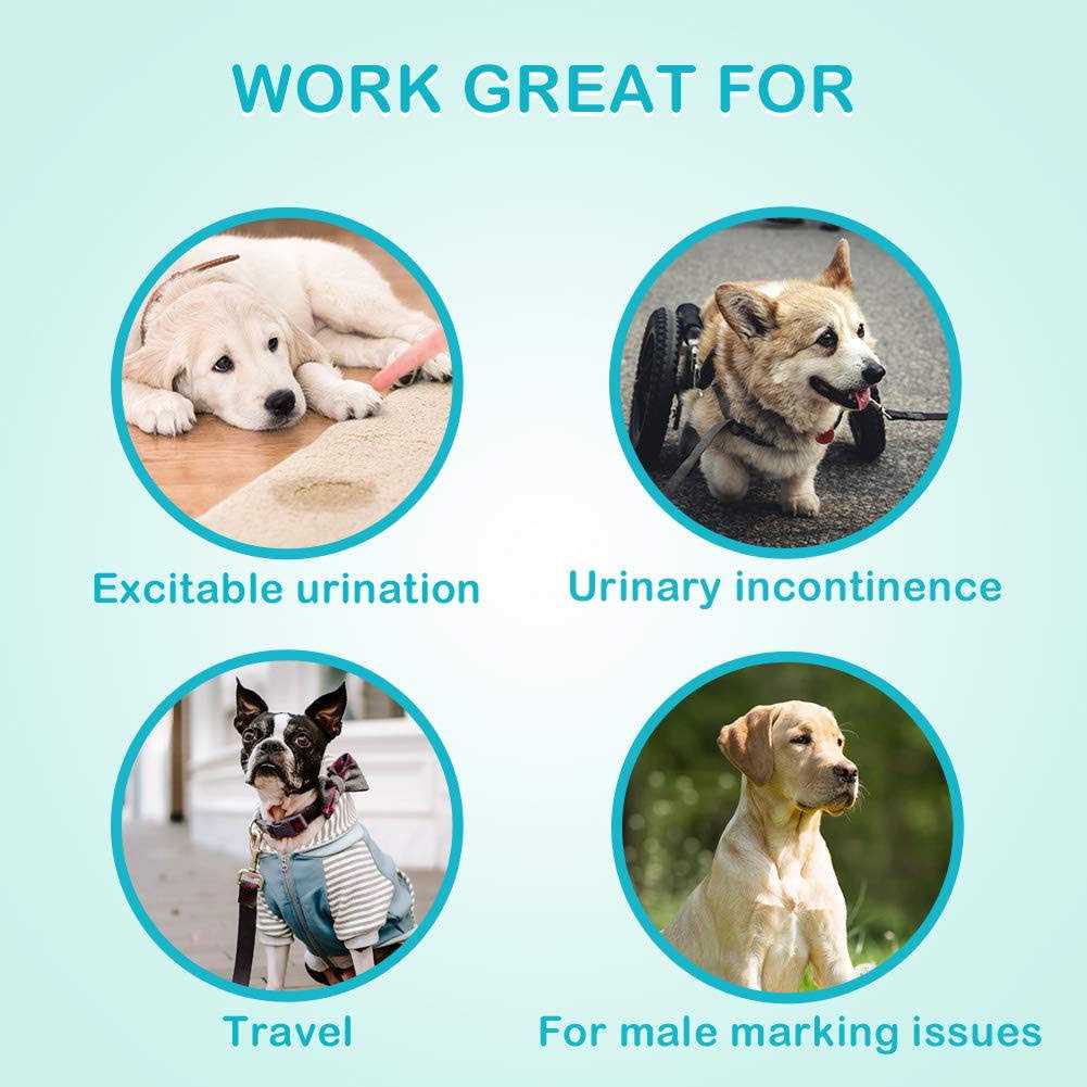 Absorbent Male Dog Wraps Belly Bands with Leak Protection N77270