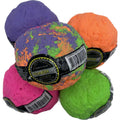 Fetch Dog Toy J250
