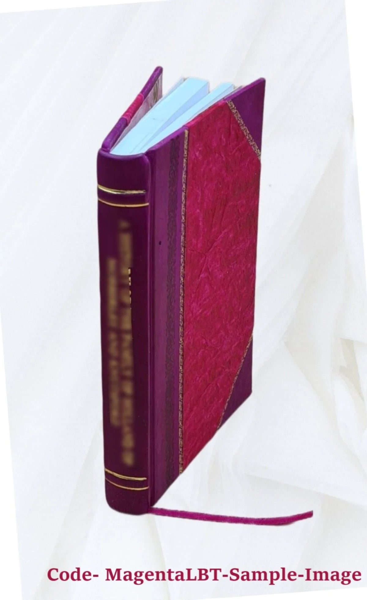 Norse discovery of America historical thesis 1901 Leather Bound L183681