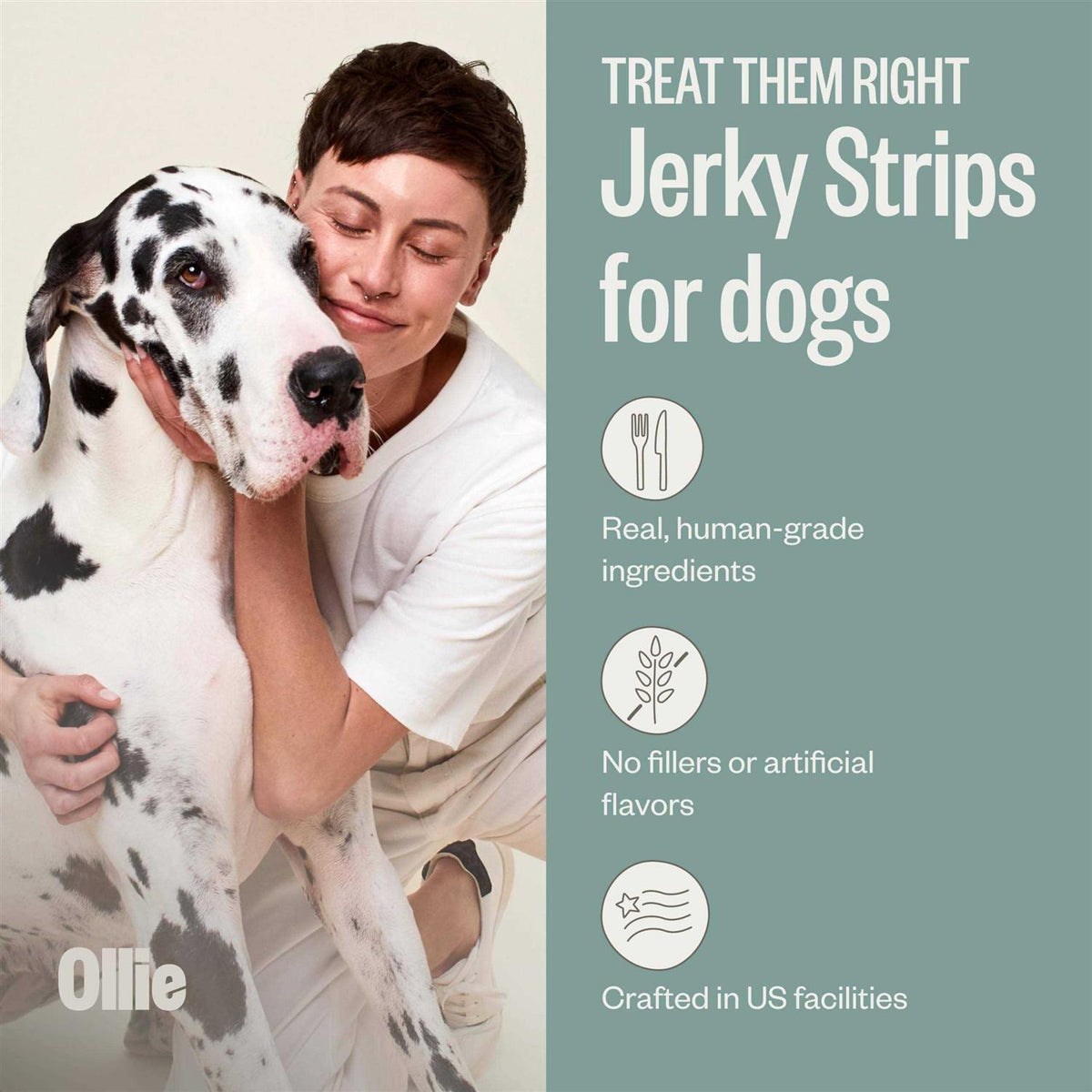 Beef and Sweet Potato Dog Jerky Treats B43953