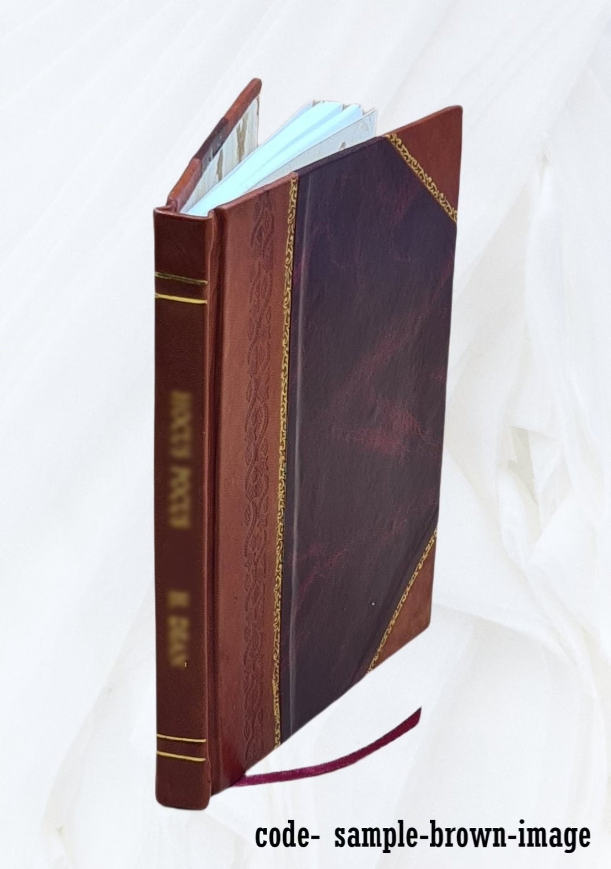Norse discovery of America historical thesis 1901 Leather Bound L183681