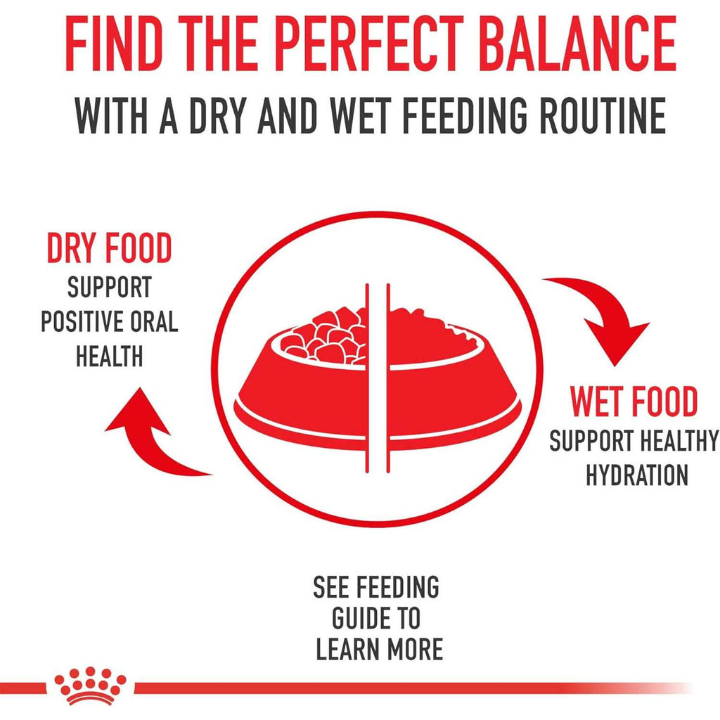 Adult Dry Dog Food F26705