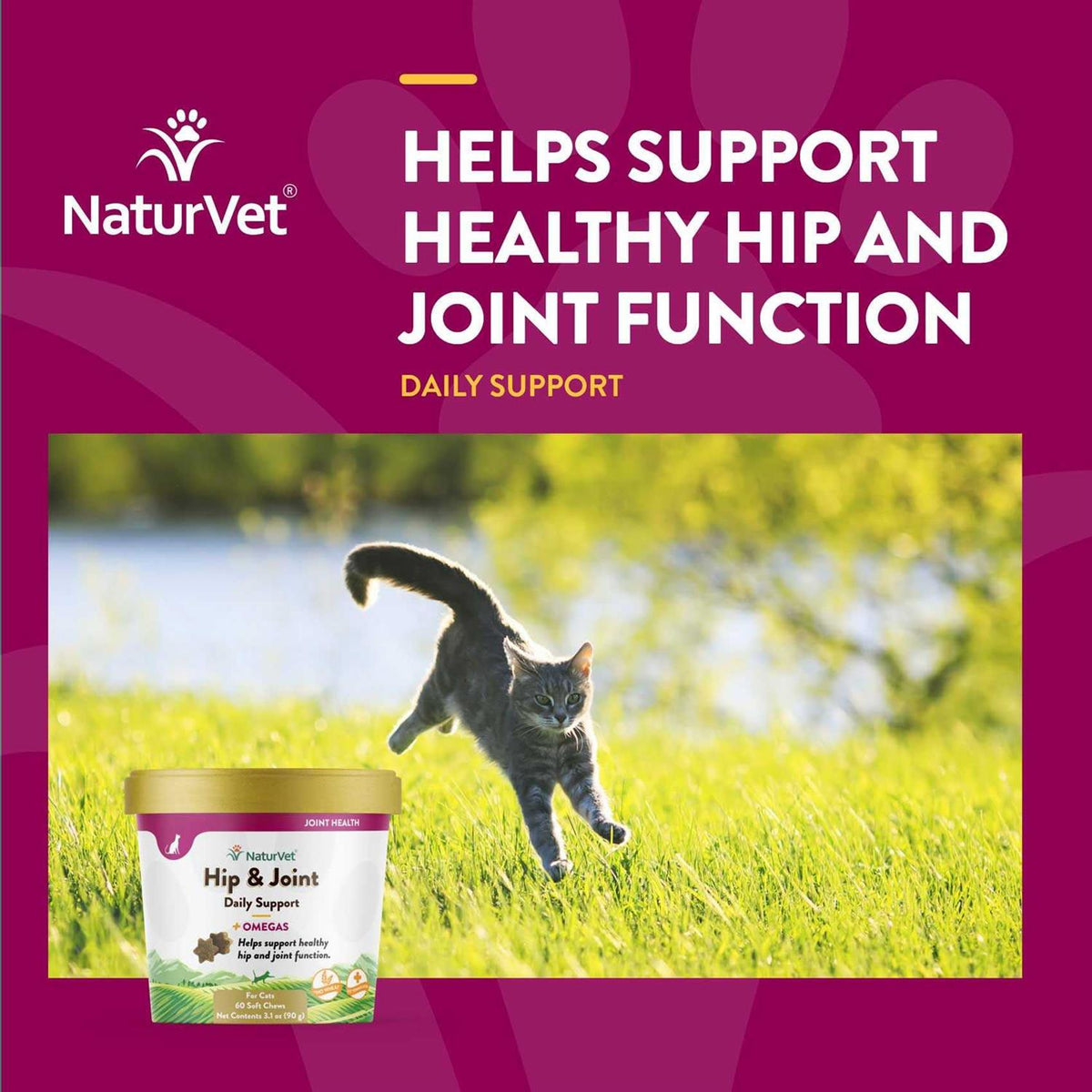 Hip & Joint Soft Chews Cat Supplement D6816