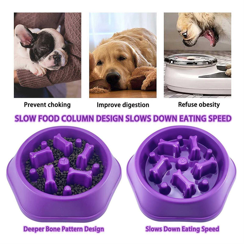 Slow Feeder Dog Bowl Non Slip C256578