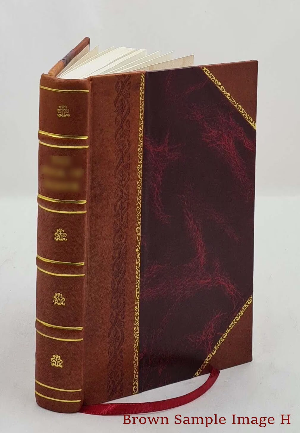 The Life of Cornelia Connelly, 1809-1879 H66906