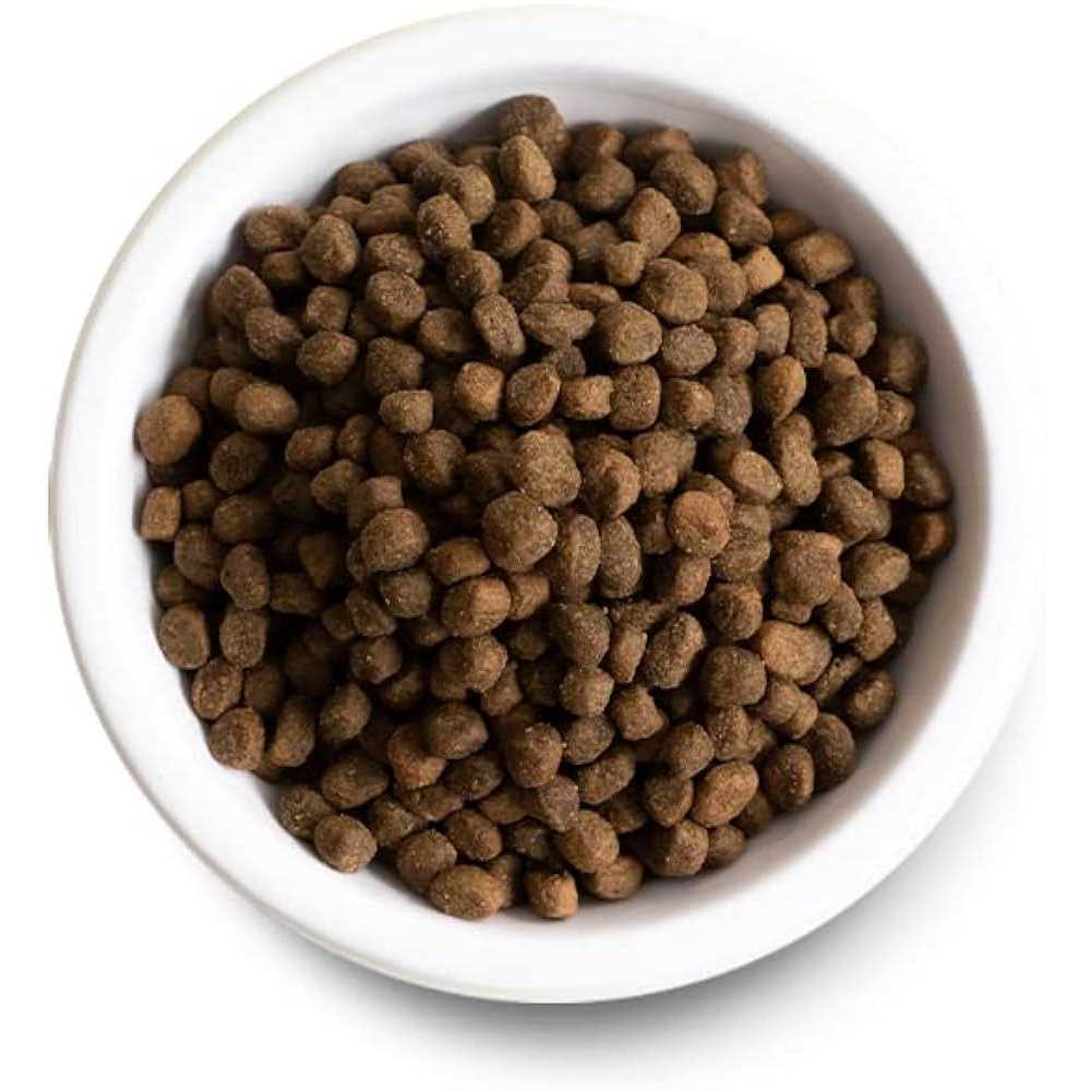 Pasture Raised Lamb Ancient Grains Dry Dog Food W9657