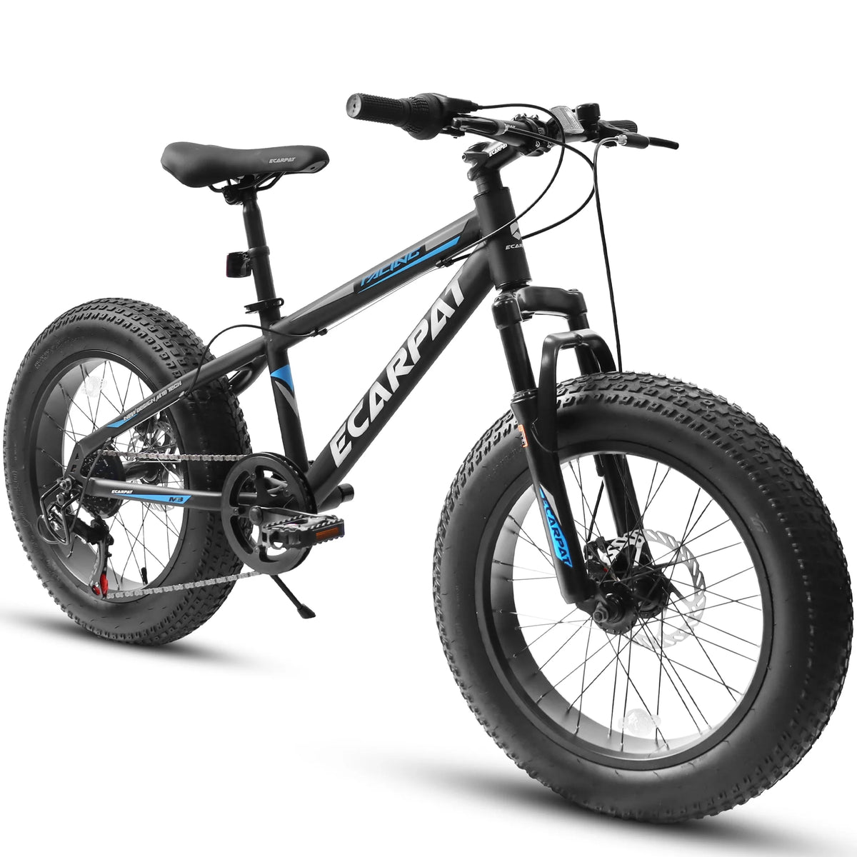 20 inch Black Fat Tire Bike with Disc Brakes 7 Speed L96229
