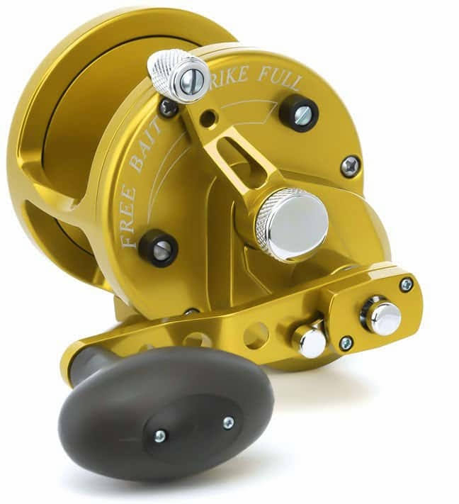 Gold 2-Speed Lever Drag Casting Reels O564516