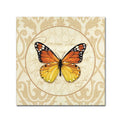 Canvas Art W536