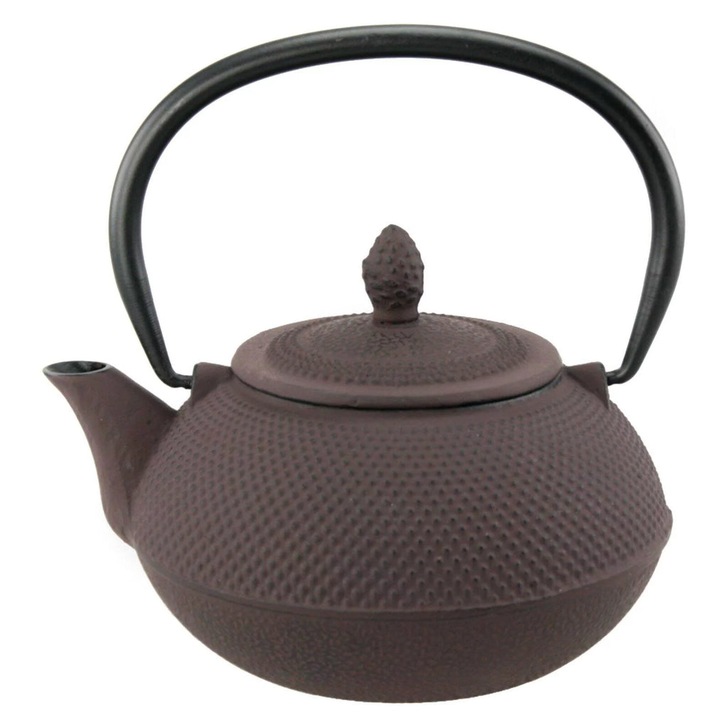 30 Oz Blue Cast Iron Tea Pot U767