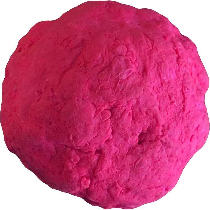 Fetch Dog Toy J250