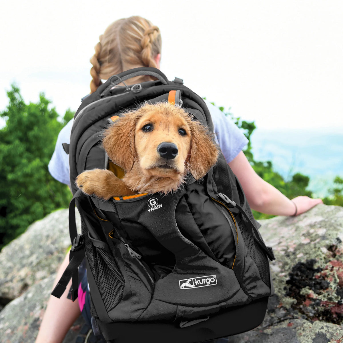 Dog Carrier Backpack with Chest Straps & Hip Belt J94810