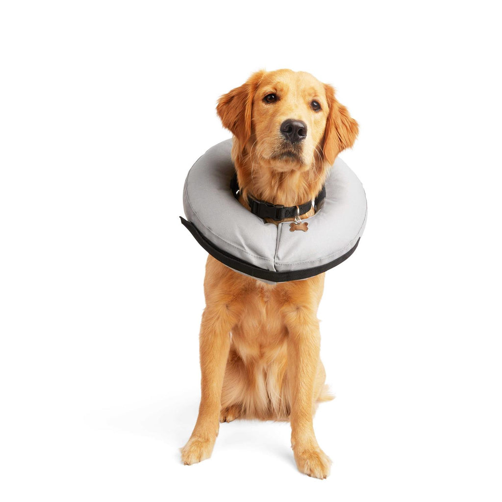 Inflatable Dog Collar V557