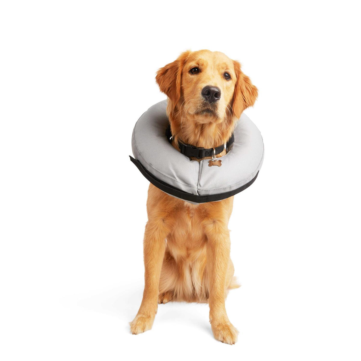 Inflatable Dog Collar V557