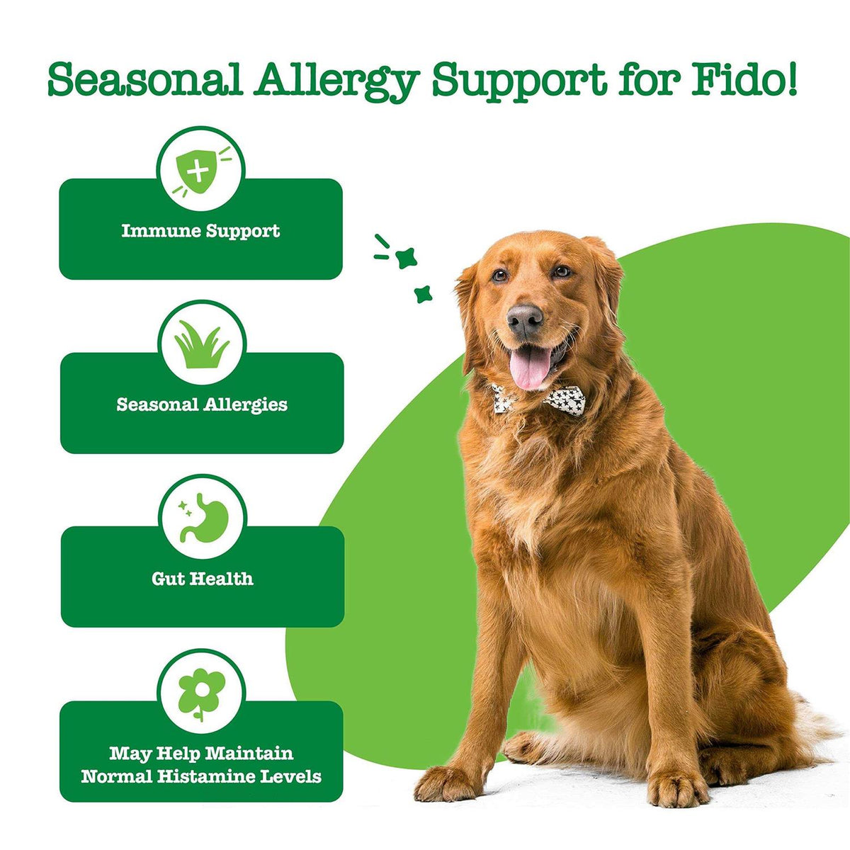 Hemp Cheese Allergy & Immune Bites for Dogs M3958