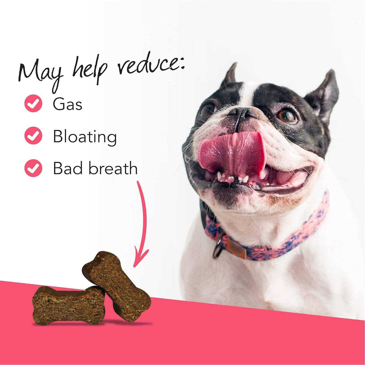 Probiotic Chews for Dogs S991