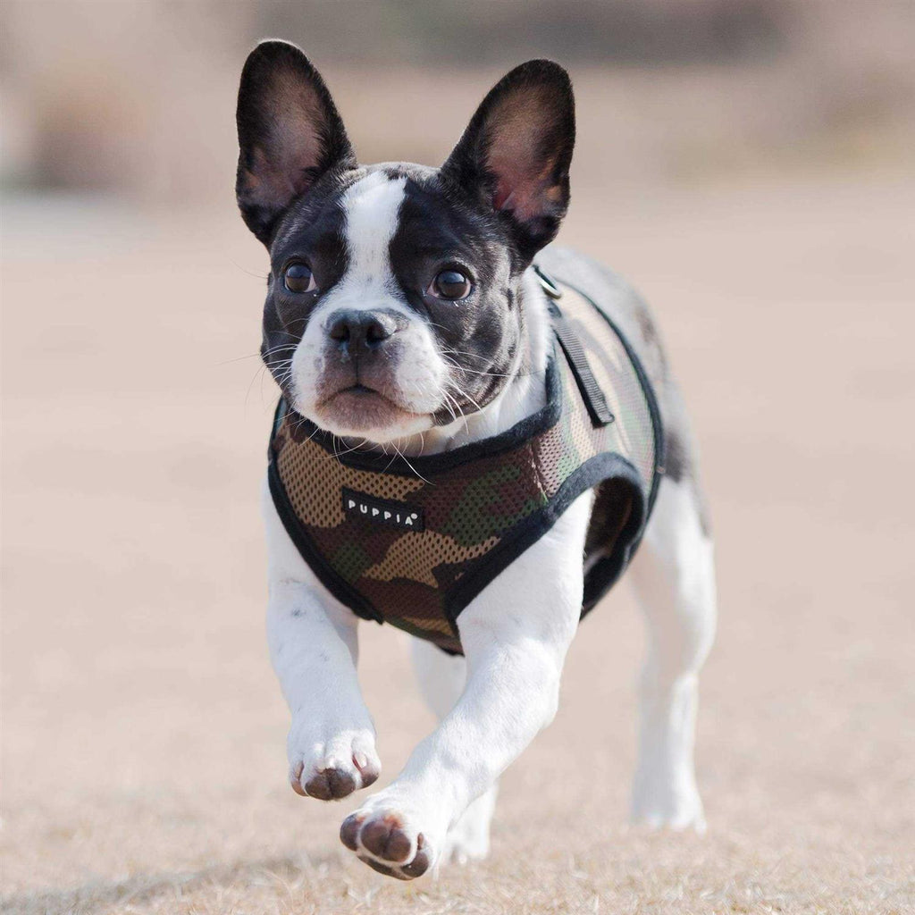 Soft Vest Harness G484404